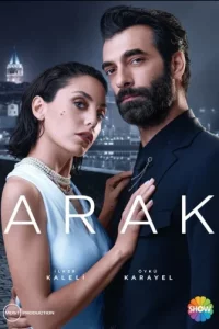 Турецкий сериал Ограбление (2023)